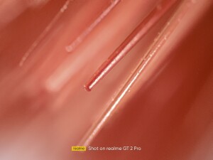 realme GT2 Pro fotka focená v mikroskopickém režimu